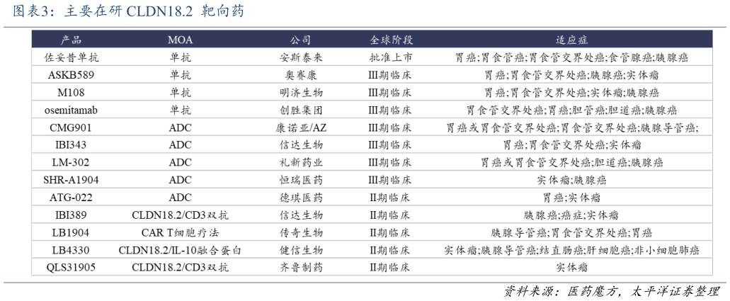 怎样理解主要在研 CLDN18.2  靶向药