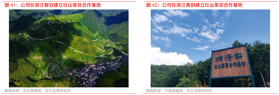 各位网友请教一下公司在浙江磐安建立红山茶花合作基地 公司在浙江青田建立红山茶花合作基地