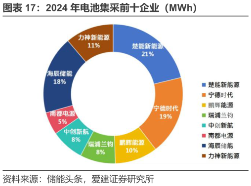 怎样理解2024 年电池集采前十企业(MWh)?