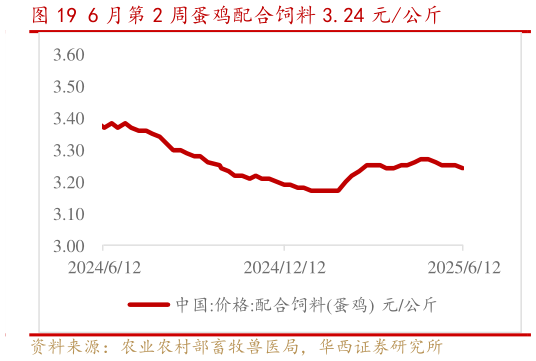 如何看待6 月第 2 周蛋鸡配合饲料 3.24 元公斤?