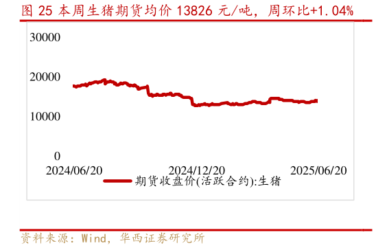 如何才能本周生猪期货均价 13826 元吨，周环比1.04%