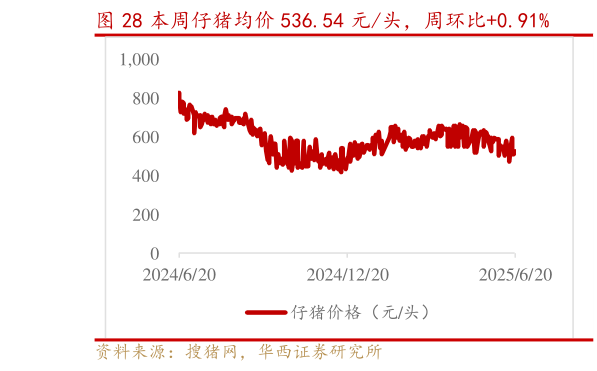 一起讨论下本周仔猪均价 536.54 元头，周环比0.91%
