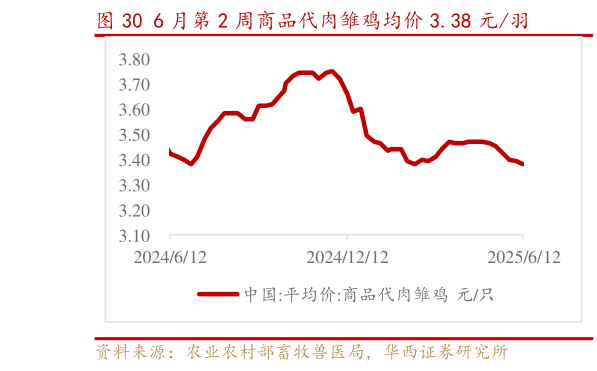你知道6 月第 2 周商品代肉雏鸡均价 3.38 元羽?