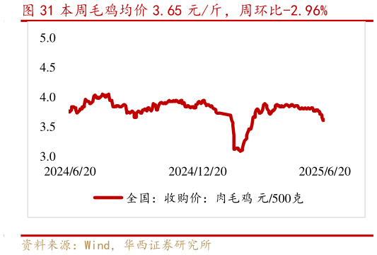 各位网友请教一下本周毛鸡均价 3.65 元斤，周环比-2.96%?