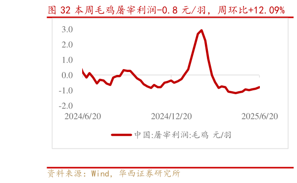谁知道本周毛鸡屠宰利润-0.8 元羽，周环比12.09%    本周毛鸡养殖利润-1.21 元羽，周环比53.16%