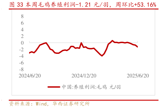 如何解释本周毛鸡养殖利润-1.21 元羽，周环比53.16%