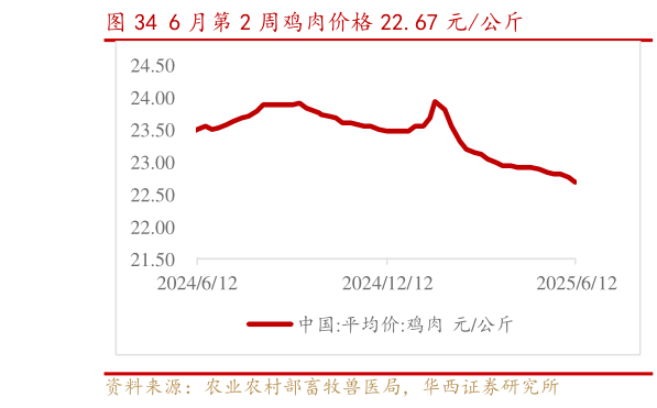 想问下各位网友6 月第 2 周鸡肉价格 22.67 元公斤