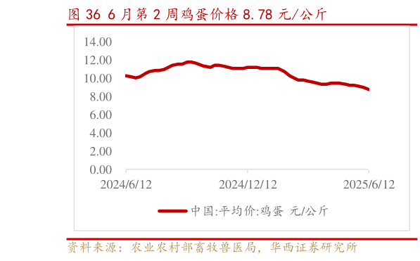 请问一下6 月第 2 周鸡蛋价格 8.78 元公斤?