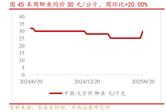 想问下各位网友本周鲫鱼均价 30 元公斤，周环比20.00%