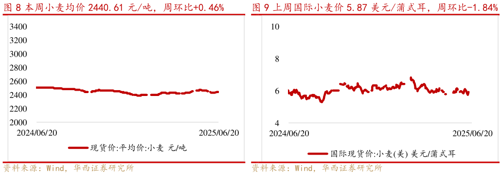 你知道本周小麦均价 2440.61 元吨，周环比0.46%上周国际小麦价 5.87 美元蒲式耳，周环比-1.84%?
