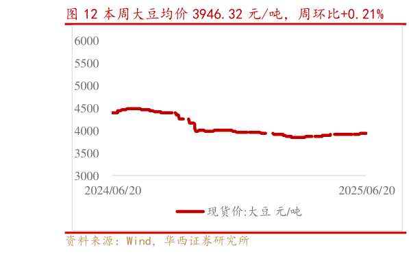想关注一下本周大豆均价 3946.32 元吨，周环比0.21%?
