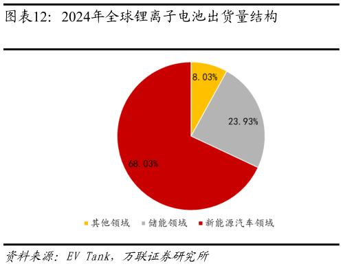 想关注一下2024年全球锂离子电池出货量结构