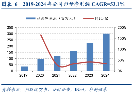 怎样理解2019-2024 年公司归母净利润 CAGR53.1%