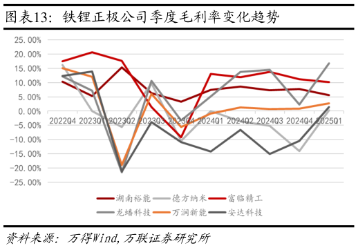 一起讨论下铁锂正极公司季度毛利率变化趋势