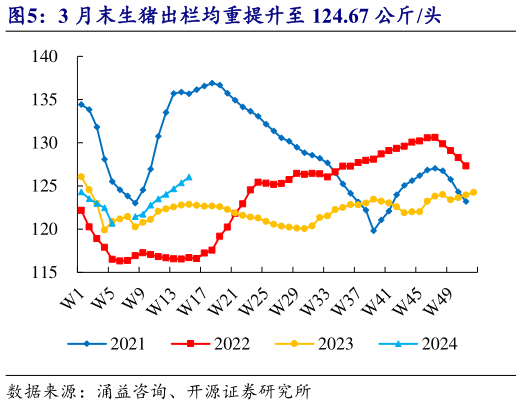 如何看待3 月末生猪出栏均重提升至 124.67 公斤头?