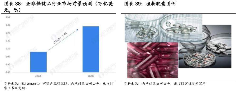 各位网友请教一下全球保健品行业市场前景预测(万亿美 植物胶囊图例?