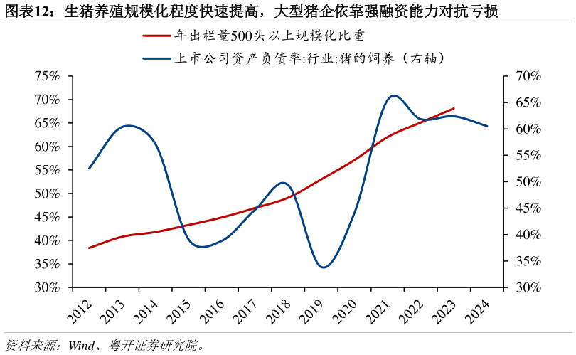 请问一下生猪养殖规模化程度快速提高，大型猪企依靠强融资能力对抗亏损