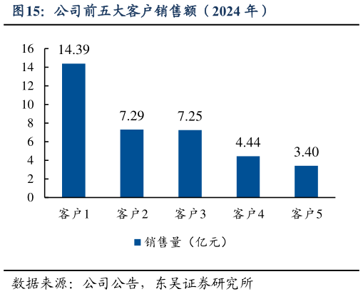 谁知道公司前五大客户销售额(2024 年)?