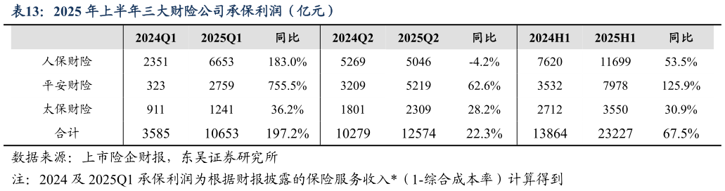 想关注一下2025 年上半年三大财险公司承保利润（亿元）