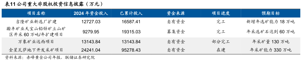 谁知道公司重大非股权投资信息披露（万元）
