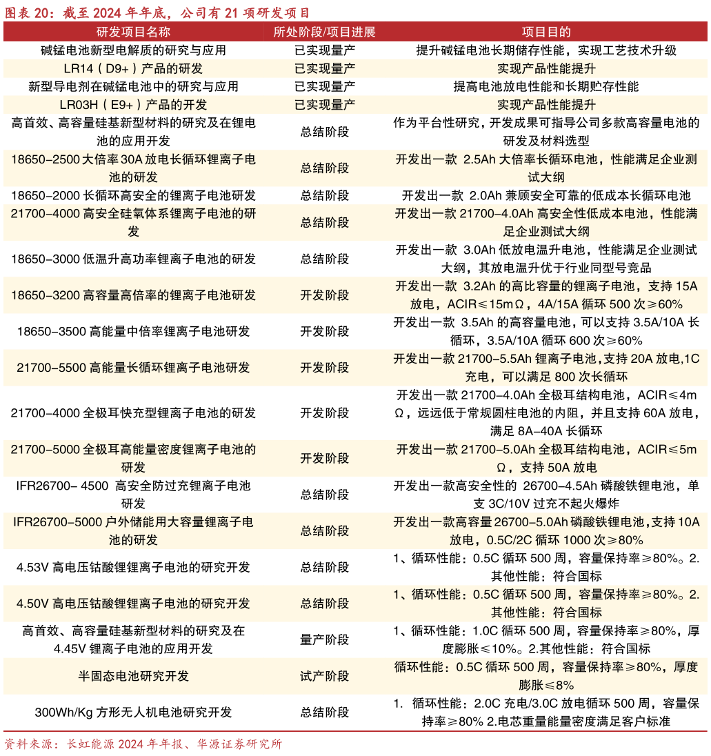 一起讨论下截至 2024 年年底，公司有 21 项研发项目