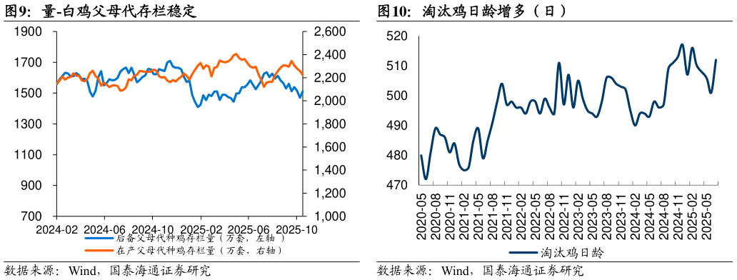 一起讨论下量-白鸡父母代存栏稳定 量-白羽鸡祖代存栏高位 淘汰鸡日龄增多（日）