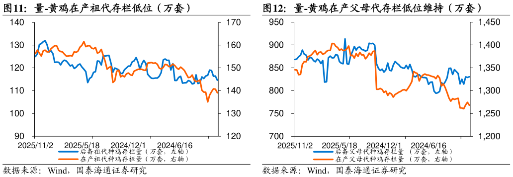 你知道量-黄鸡在产祖代存栏低位（万套）量-黄鸡在产父母代存栏低位维持（万套）