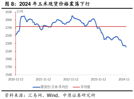想关注一下2024 年玉米现货价格震荡下行?