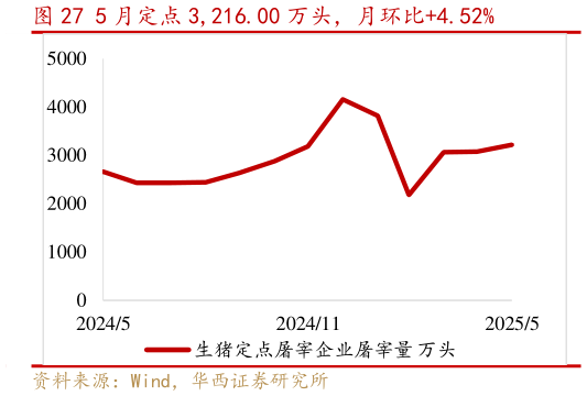 各位网友请教一下5 月定点 3,216.00 万头,月环比4.52%?
