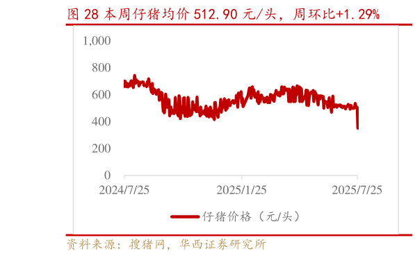 如何解释本周仔猪均价 512.90 元头,周环比1.29%?