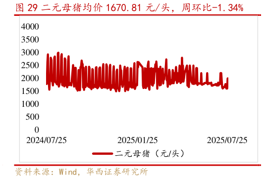 怎样理解二元母猪均价 1670.81 元头,周环比-1.34%?