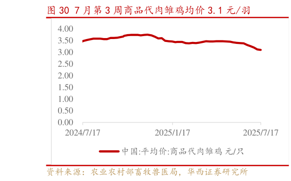 如何了解7 月第 3 周商品代肉雏鸡均价 3.1 元羽?