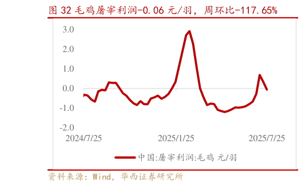 如何解释毛鸡屠宰利润-0.06 元羽,周环比-117.65%?