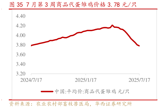 谁知道7 月第 3 周商品代蛋雏鸡价格 3.78 元只?