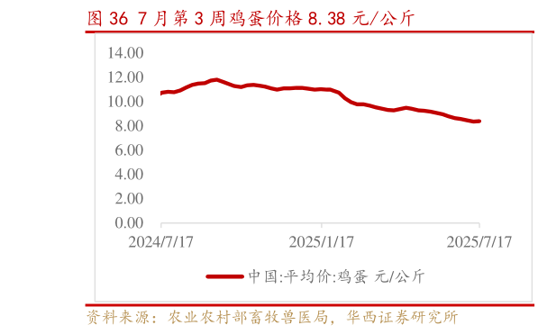 谁知道7 月第 3 周鸡蛋价格 8.38 元公斤?