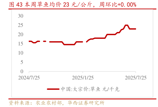咨询大家本周草鱼均价 23 元公斤,周环比0.00%?