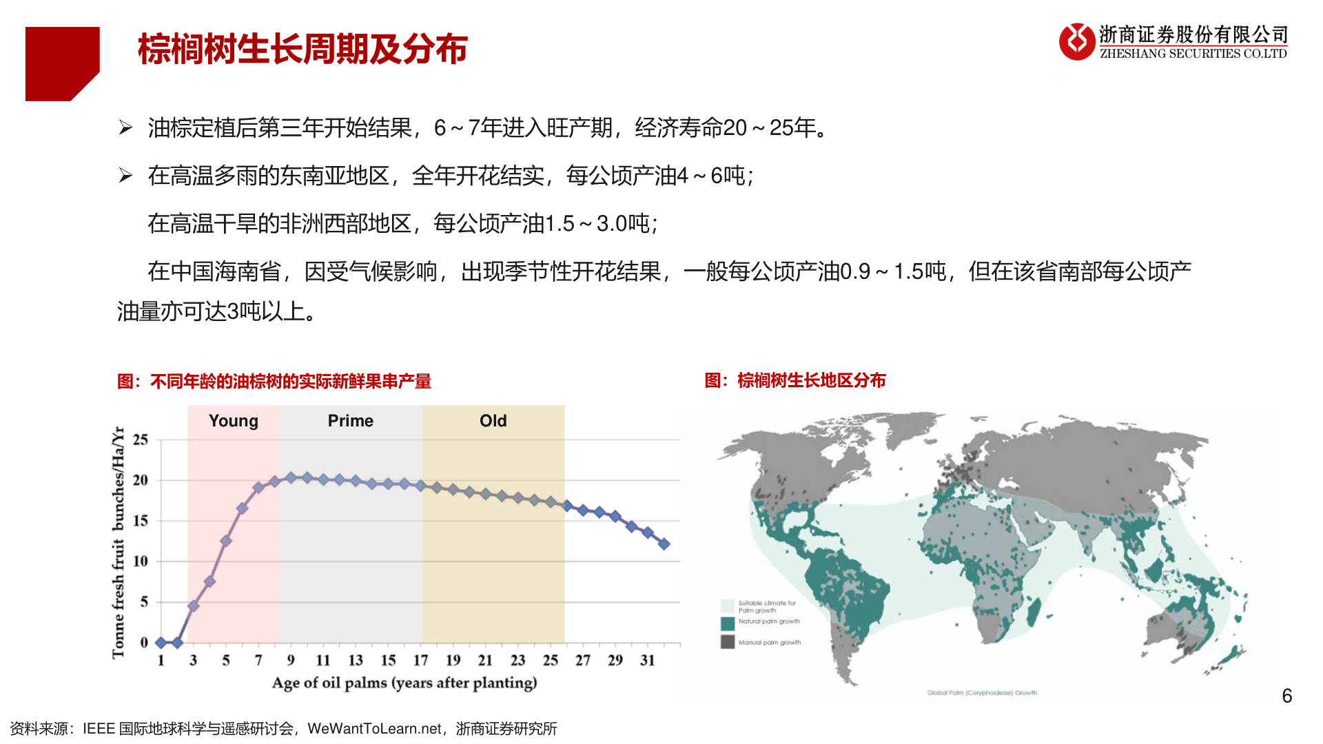 如何了解棕榈树生长周期及分布?