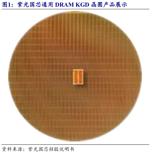 如何解释紫光国芯通用 DRAM KGD 晶圆产品展示