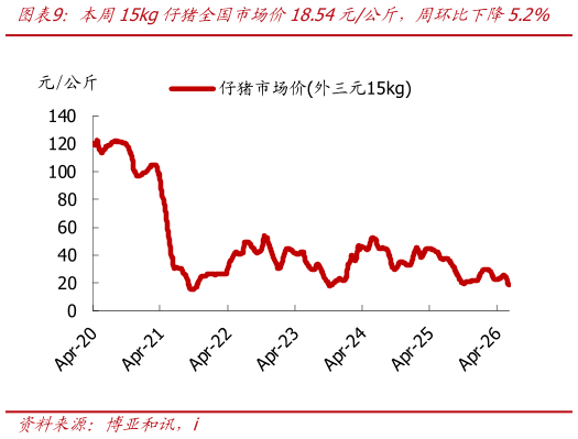 如何看待本周15kg仔猪全国市场价18.54元公斤，周环比下降5.2%