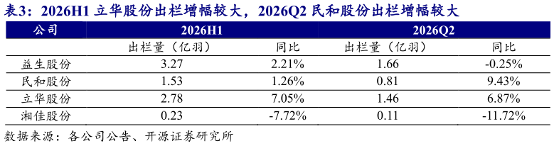 如何了解2026H1 立华股份出栏增幅较大，2026Q2 民和股份出栏增幅较大 