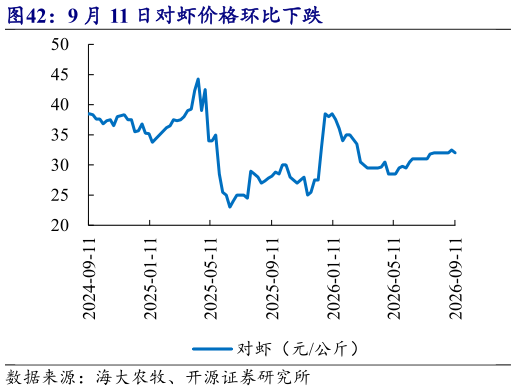 如何解释9 月 11 日对虾价格环比下跌
