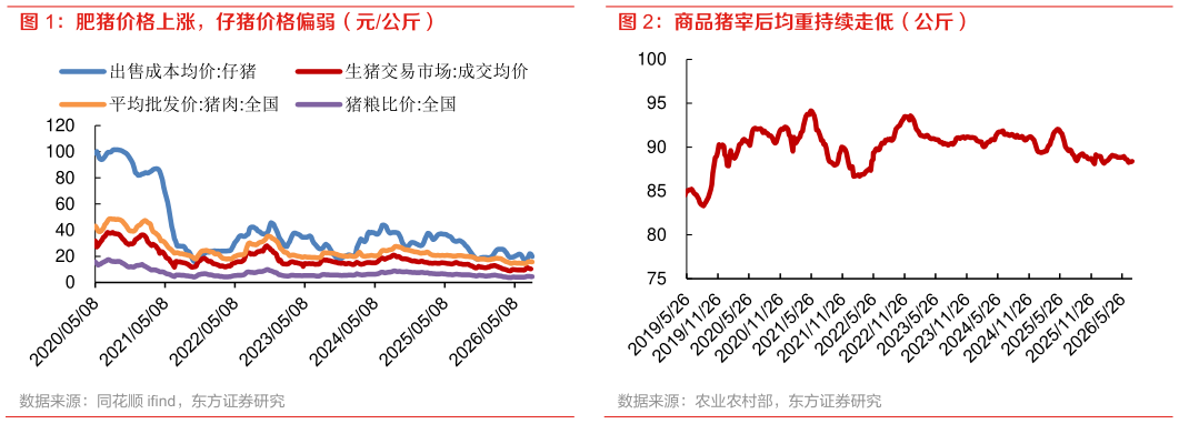 怎样理解肥猪价格上涨，仔猪价格偏弱（元公斤）