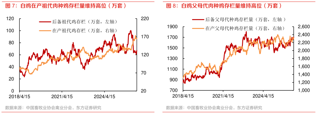 你知道白鸡在产祖代肉种鸡存栏量维持高位（万套） 白鸡价格回归低波动稳定（元公斤） 白鸡父母代肉种鸡存栏量维持高位（万套）
