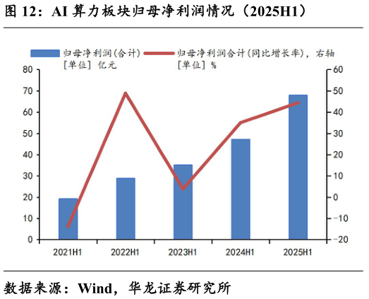 想关注一下AI 算力板块归母净利润情况（2025H1）
