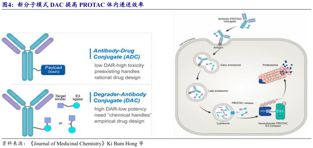 你知道新分子模式 DAC 提高 PROTAC 体内递送效率