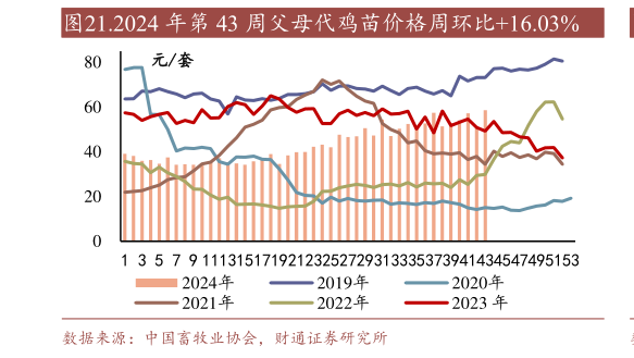 咨询大家.2024 年第 43 周父母代鸡苗价格周环比16.03%?