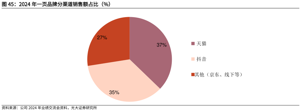如何了解2024 年一页品牌分渠道销售额占比（%）?