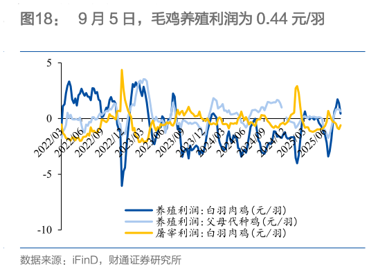 如何解释9 月 5 日,毛鸡养殖利润为 0.44 元羽?