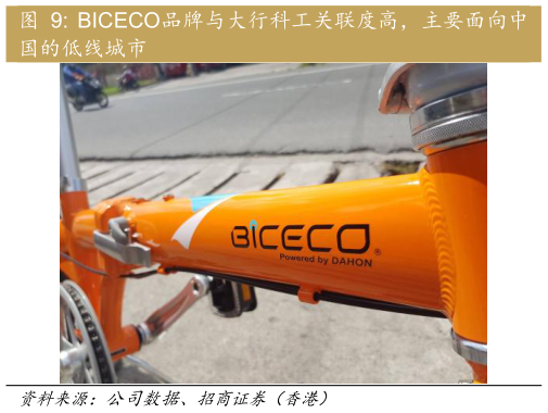 咨询下各位BICECO品牌与大行科工关联度高，主要面向中