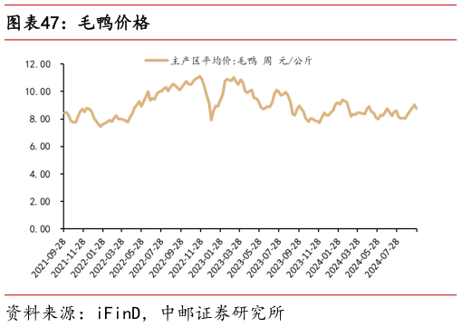 谁能回答毛鸭价格